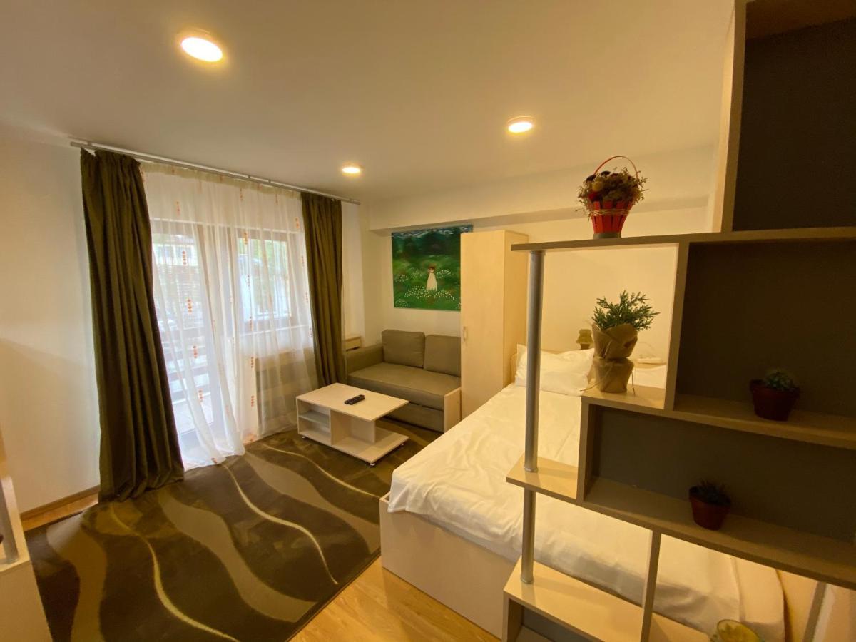 Sinaia Chic Minisuite Mirage-Self Check-In&Free Parking ภายนอก รูปภาพ