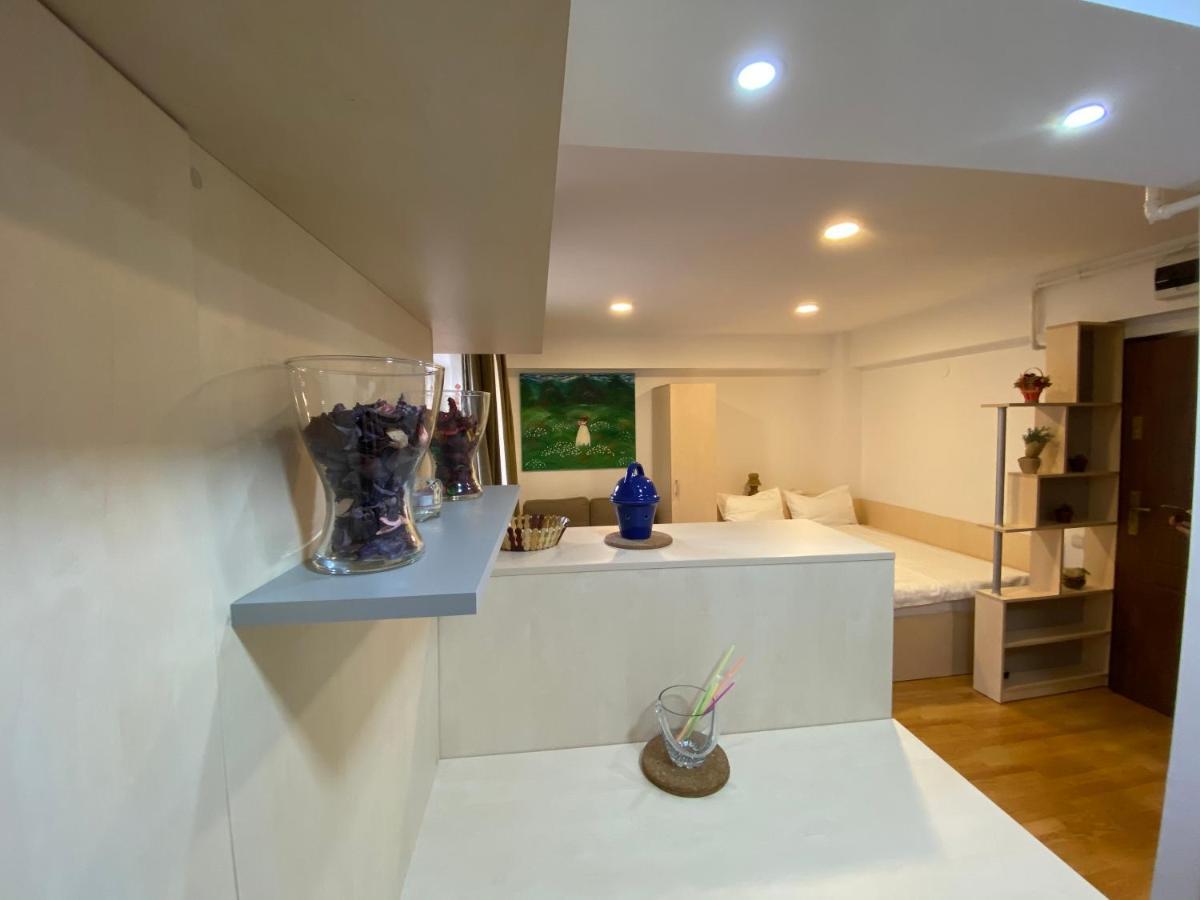 Sinaia Chic Minisuite Mirage-Self Check-In&Free Parking ภายนอก รูปภาพ