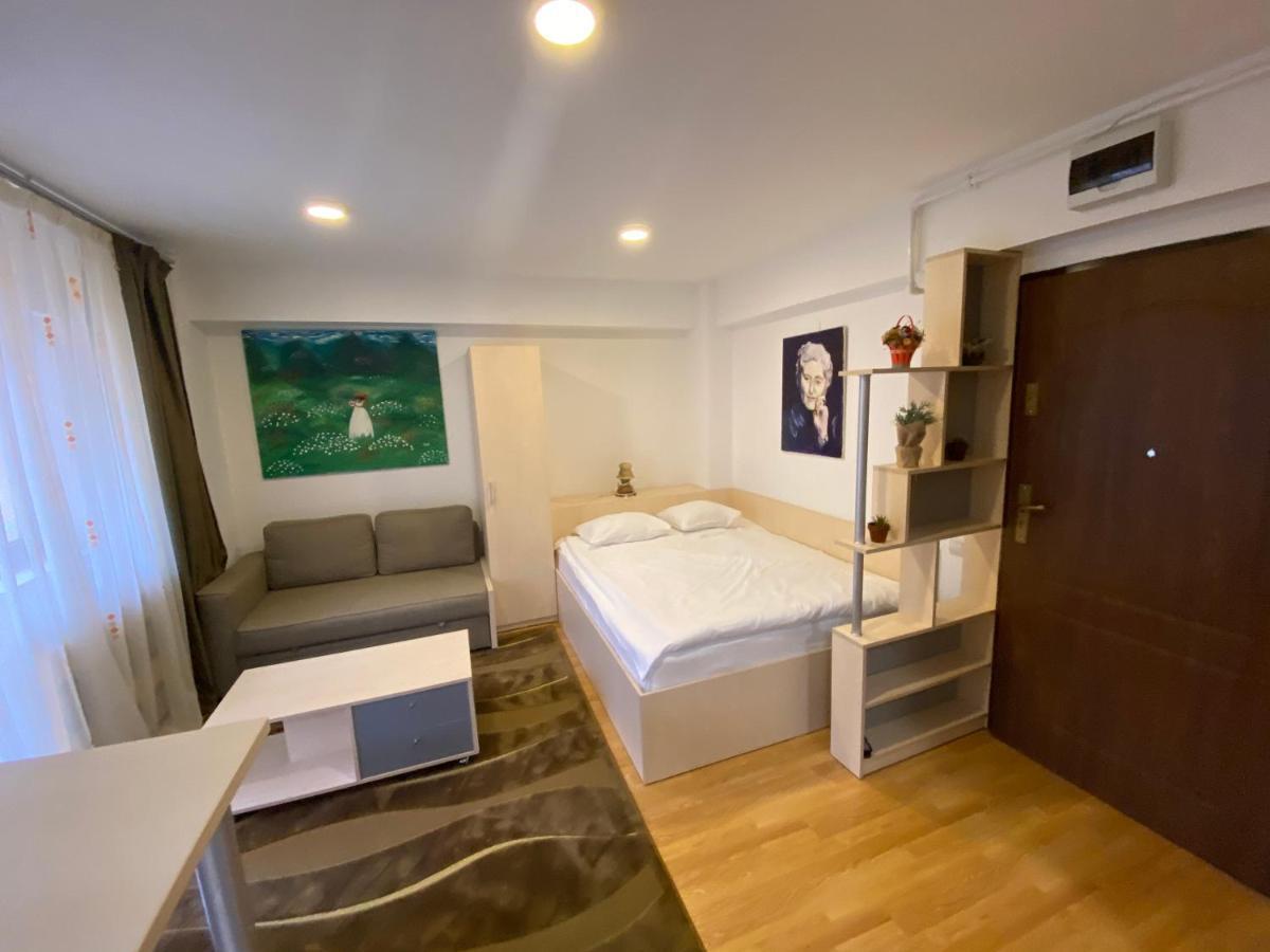 Sinaia Chic Minisuite Mirage-Self Check-In&Free Parking ภายนอก รูปภาพ