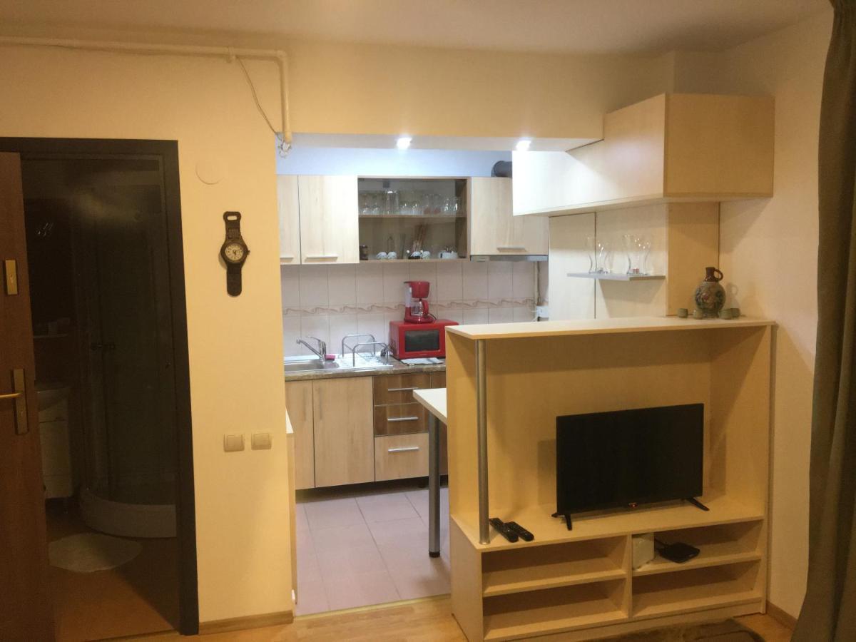 Sinaia Chic Minisuite Mirage-Self Check-In&Free Parking ภายนอก รูปภาพ