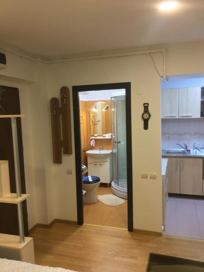 Sinaia Chic Minisuite Mirage-Self Check-In&Free Parking ภายนอก รูปภาพ